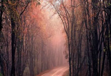 巴洛貢欲謀海外，西漢姆瞄準瓦希轉會！.