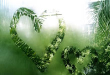 KY体育：上海落地系列消费补贴 智能产品线上线下销售旺.