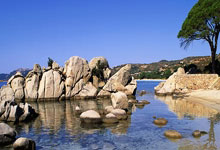 [亚冬会]开幕式：迎宾表演《冰灯启梦》.